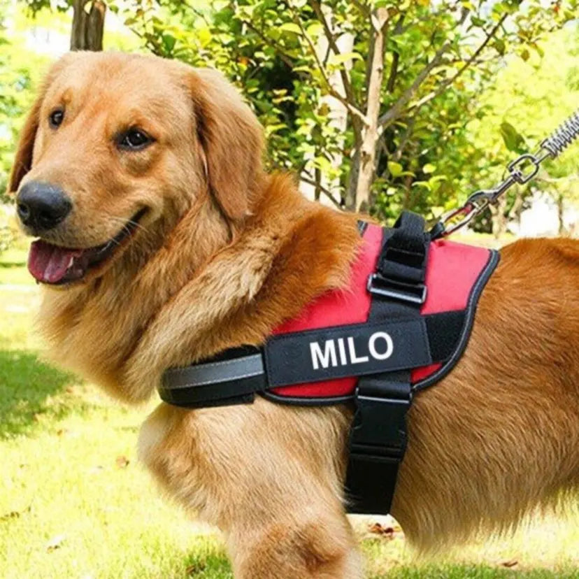 Personalized Dog Harness - Pawfect Story | Your Pet's Favorite Store