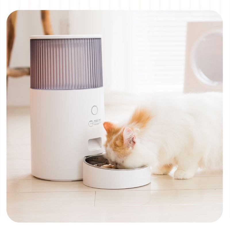 Smart WiFi Pet Feeding Station - Pawfect Story | Your Pet's Favorite Store