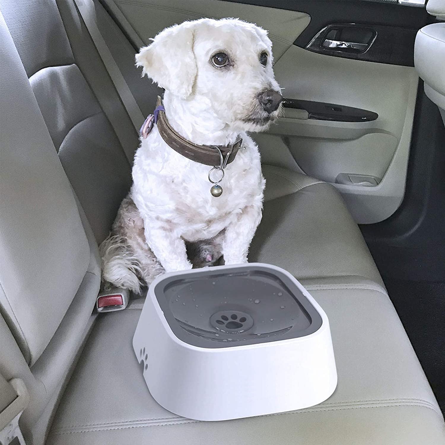 No-Spill Pet Water Bowl - Pawfect Story | Your Pet's Favorite Store
