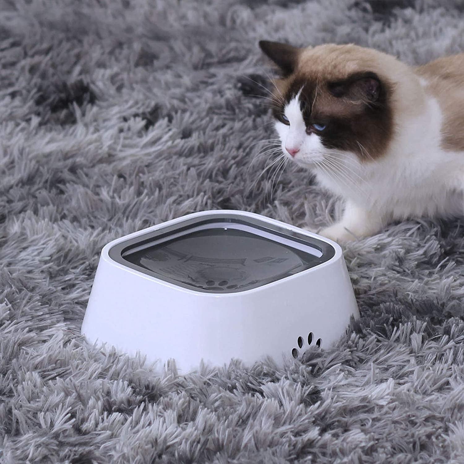 Cat drinking from a no-spill pet water bowl with anti-splash floating disk