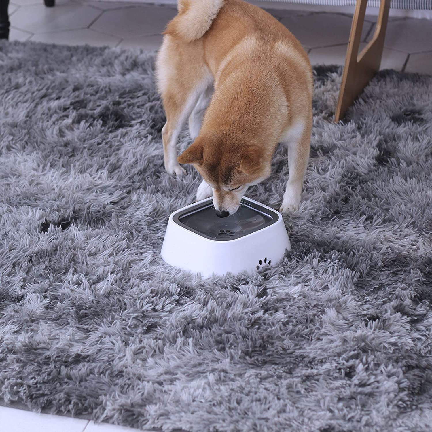No-Spill Pet Water Bowl - Pawfect Story | Your Pet's Favorite Store