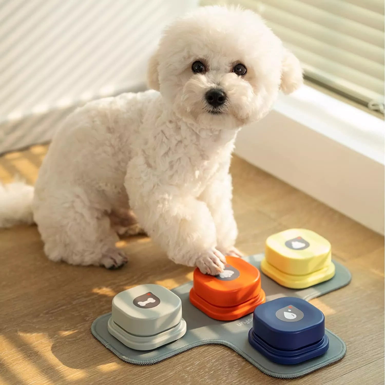 Pet Interactive Training Buttons - Pawfect Story | Your Pet's Favorite Store