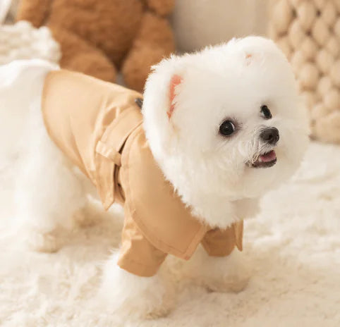 British Trench Coat for Dogs - Summer Pet Apparel - FurVerve | Smart Toys & Essentials for Happy, Healthy Pets