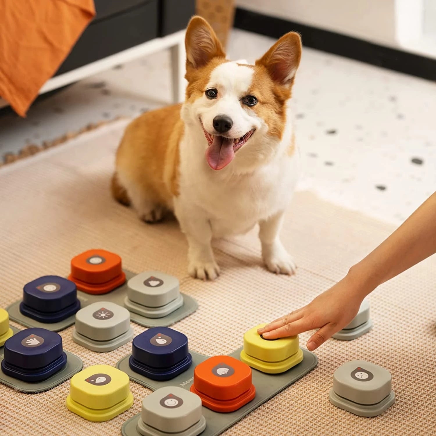 Pet Interactive Training Buttons - Pawfect Story | Your Pet's Favorite Store