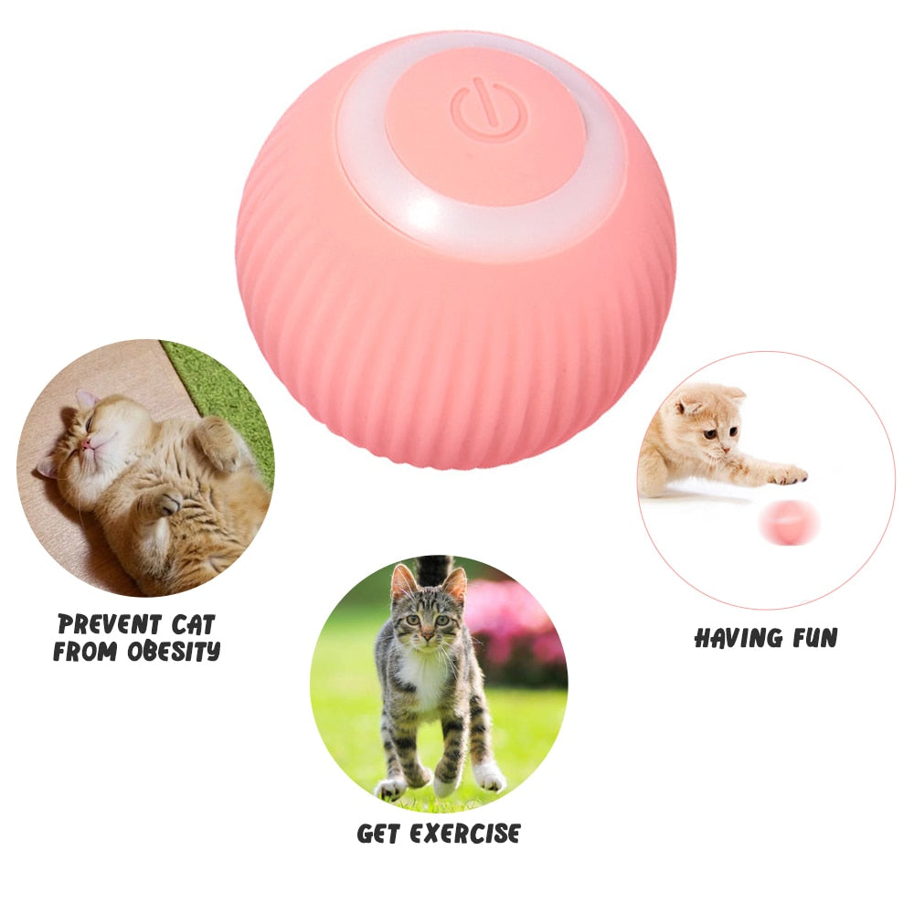 Smart Pet Play Sphere - Pawfect Story | Your Pet's Favorite Store