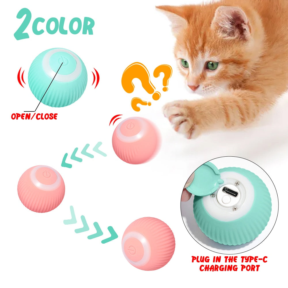 Smart Pet Play Sphere - Pawfect Story | Your Pet's Favorite Store