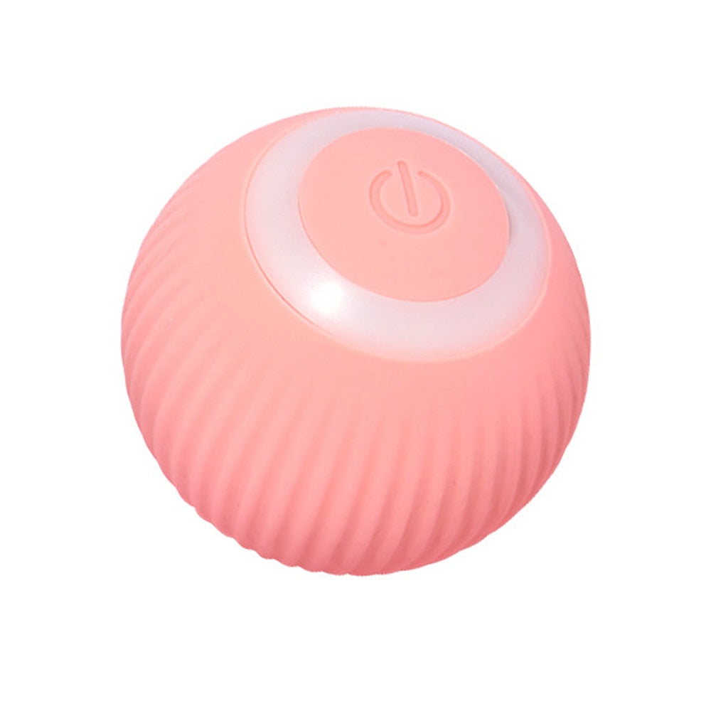 Smart Pet Play Sphere - Pawfect Story | Your Pet's Favorite Store