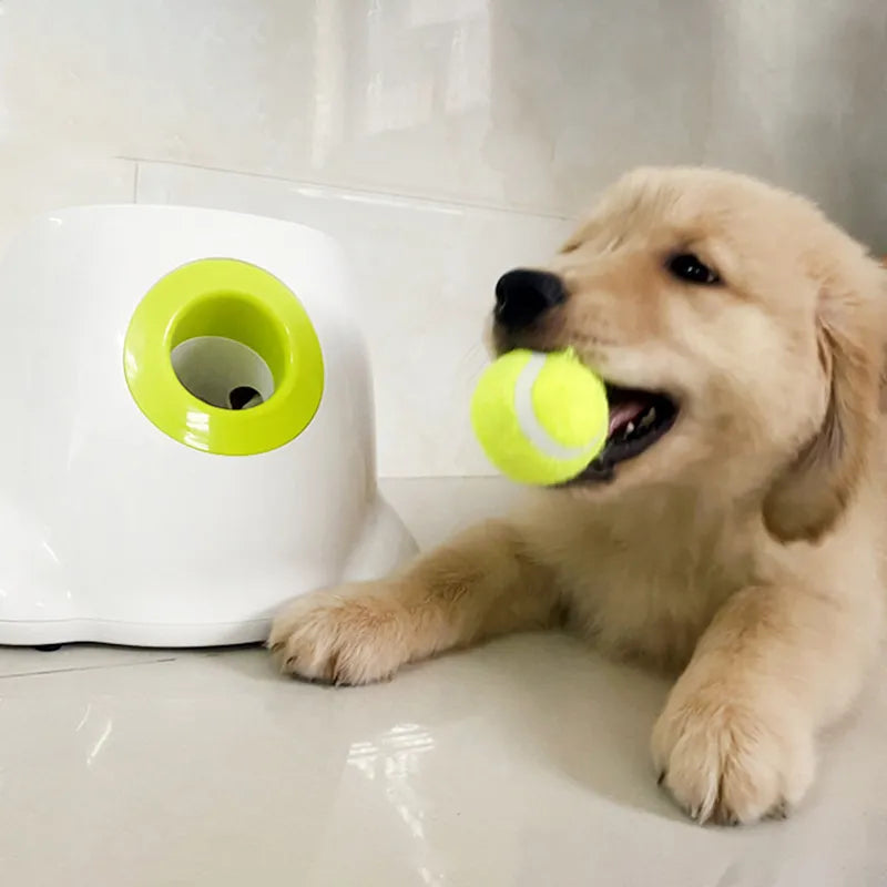 Automatic Pet Ball Launcher - Pawfect Story | Your Pet's Favorite Store