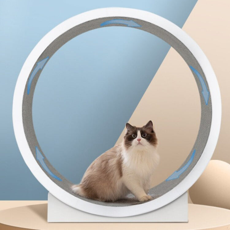 Cat Exercise Wheel - Pawfect Story | Your Pet's Favorite Store
