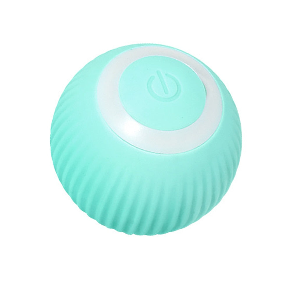 Smart Pet Play Sphere - Pawfect Story | Your Pet's Favorite Store