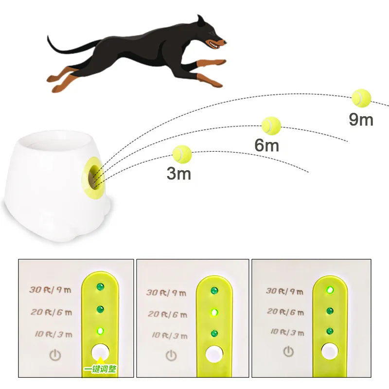 Automatic Pet Ball Launcher - Pawfect Story | Your Pet's Favorite Store