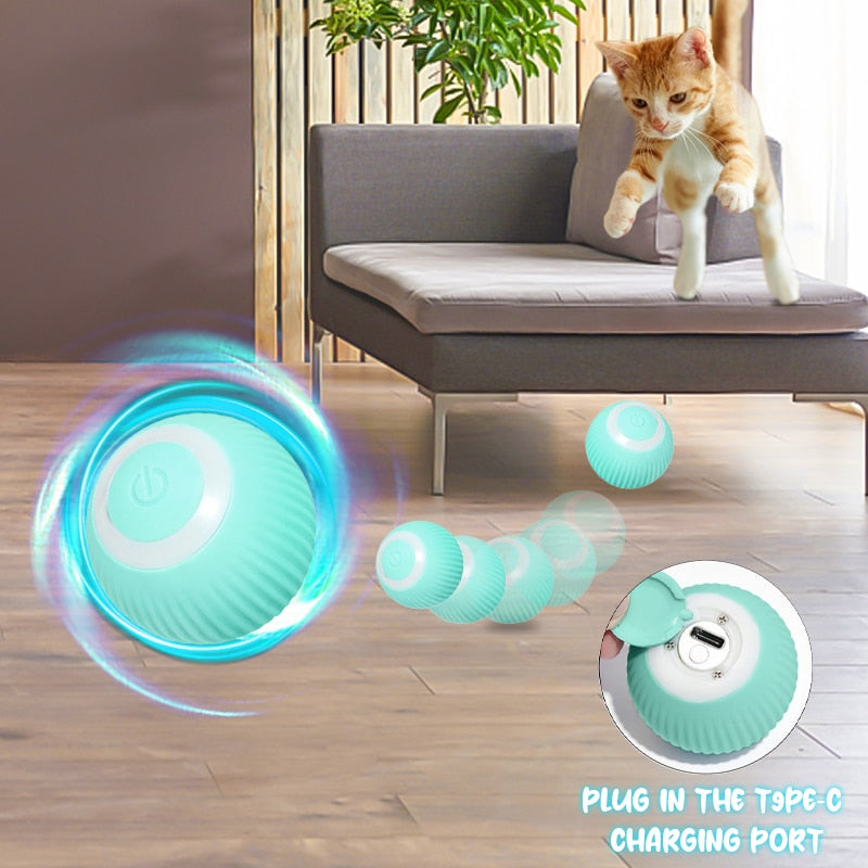 Smart Pet Play Sphere - Pawfect Story | Your Pet's Favorite Store