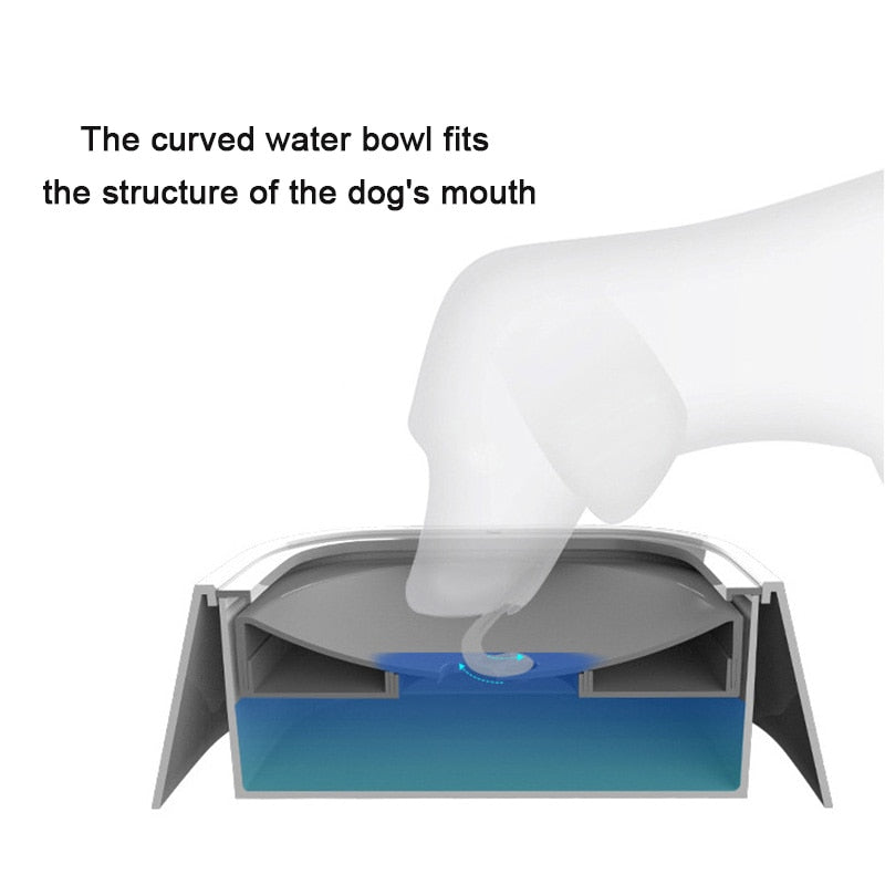 No-Spill Pet Water Bowl - Pawfect Story | Your Pet's Favorite Store