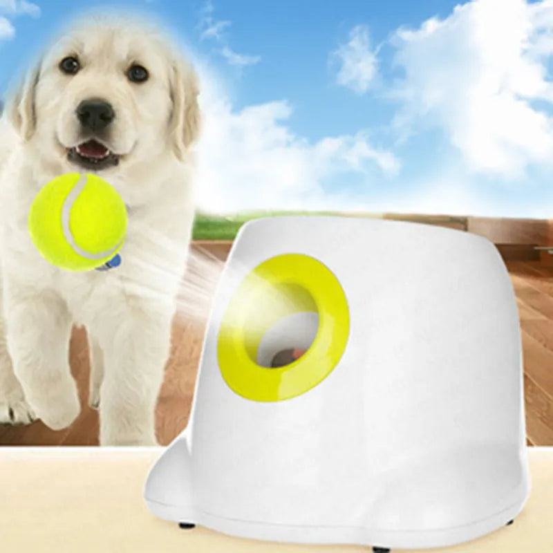 Automatic Pet Ball Launcher - Pawfect Story | Your Pet's Favorite Store
