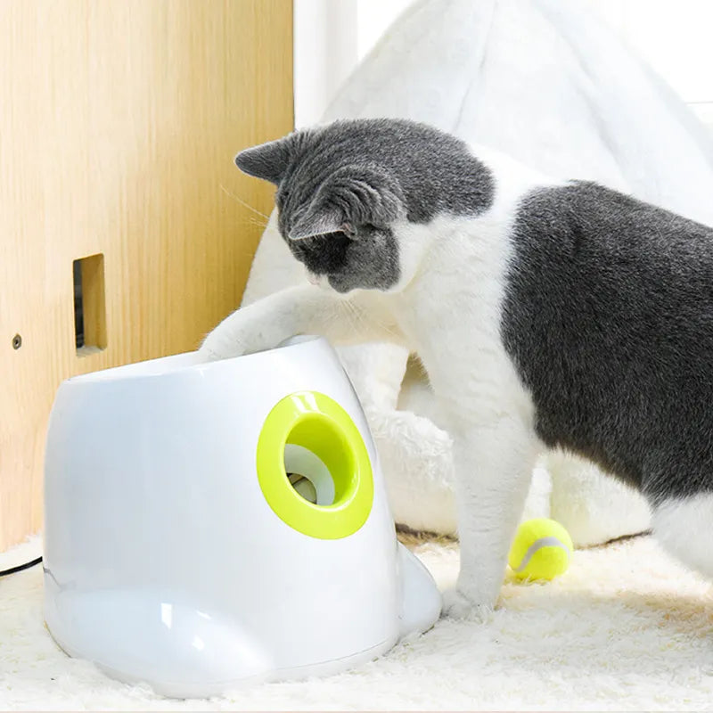 Automatic Pet Ball Launcher - Pawfect Story | Your Pet's Favorite Store