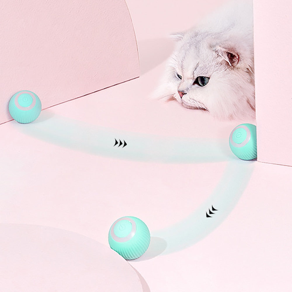 Smart Pet Play Sphere - Pawfect Story | Your Pet's Favorite Store