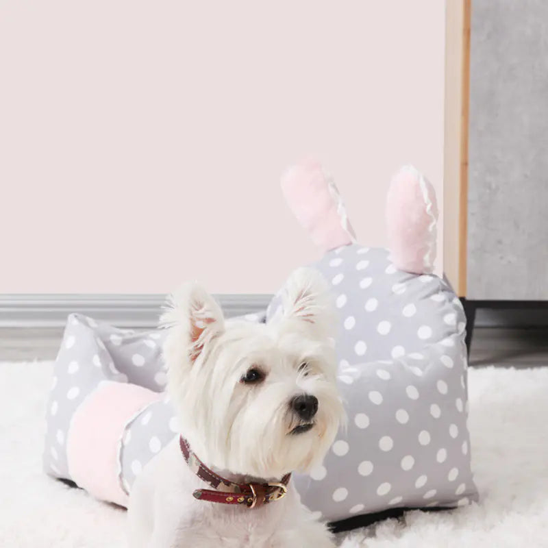 Universal Dog Bed with Washable Cushion for Pets - FurVerve | Smart Toys & Essentials for Happy, Healthy Pets