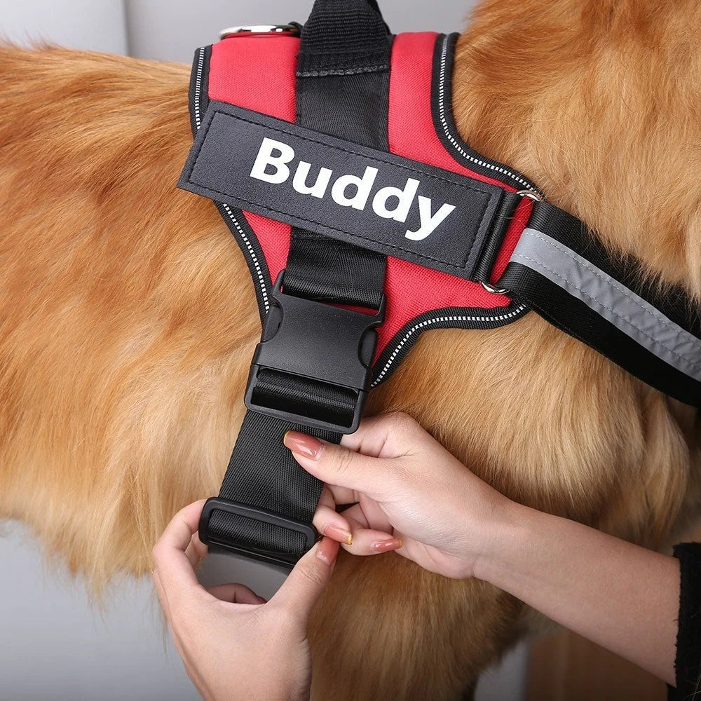 Personalized Dog Harness - Pawfect Story | Your Pet's Favorite Store